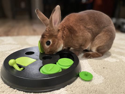 Trixie Strategy Game Flip Board for Rabbits