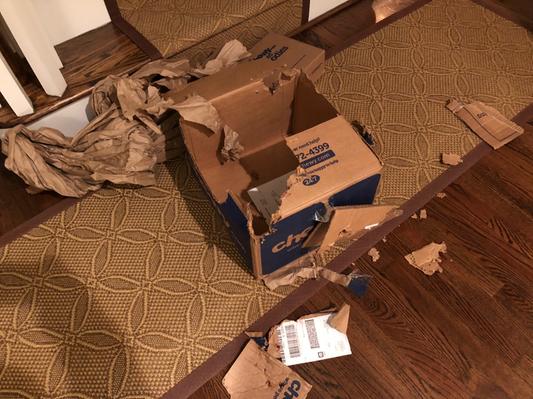 "I just couldn't wait!"