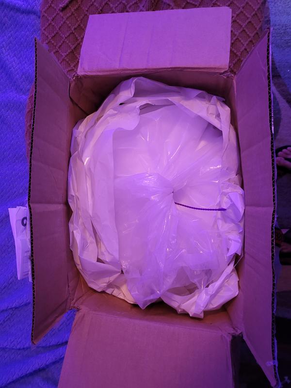 Salt in shipping box