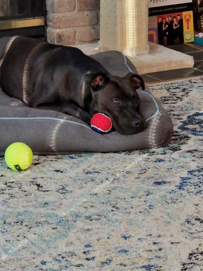 Always has it with her