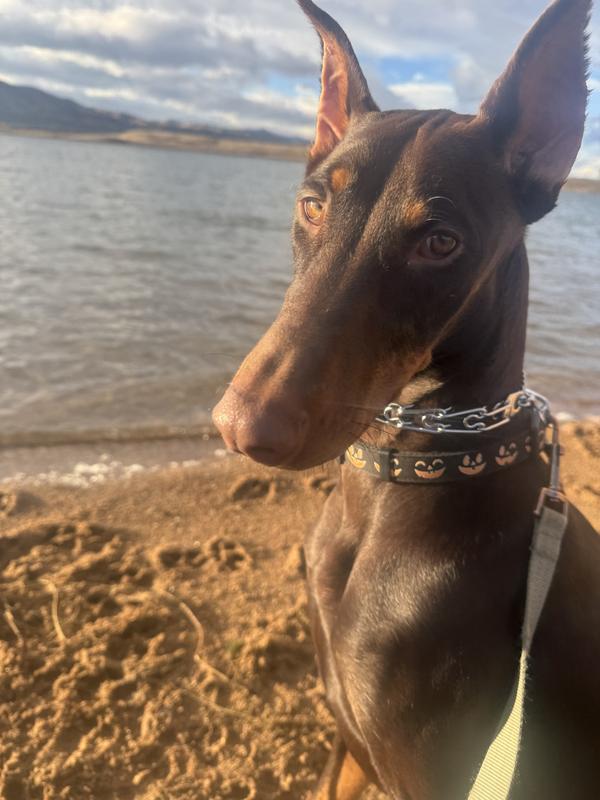 Such an enjoyable walk we experienced