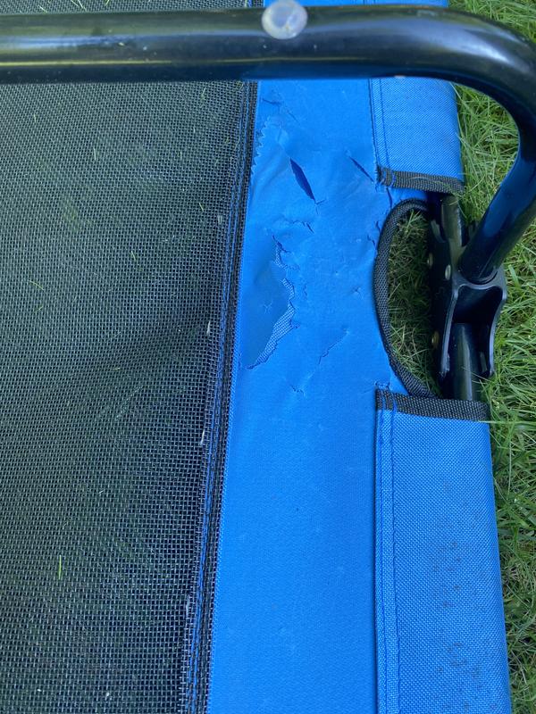 COLEMAN Folding Dog Cot, Blue, Large