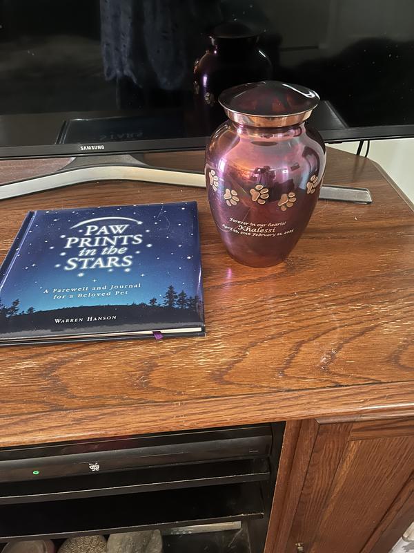 Memories of sweet Khalessi 💕