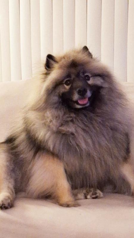 I'm all fluffy and tummy!