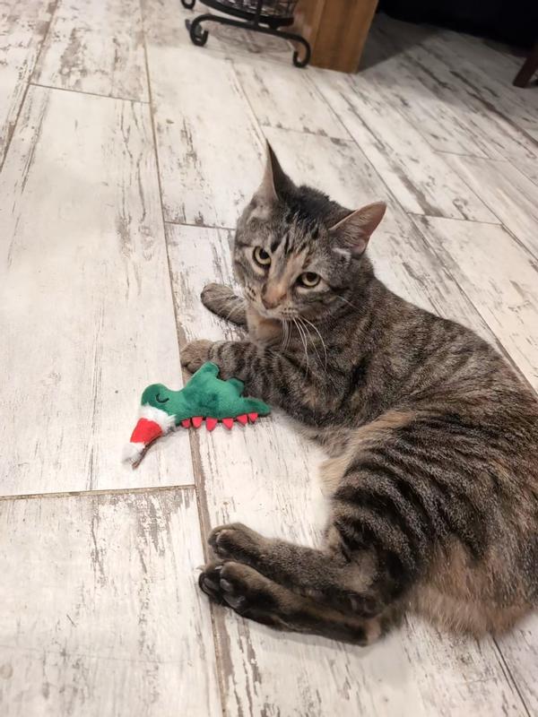 Whizzy loves her dino!!