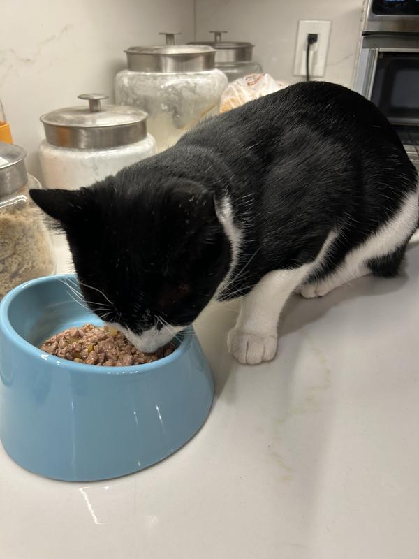 Pawl gobbling it up!