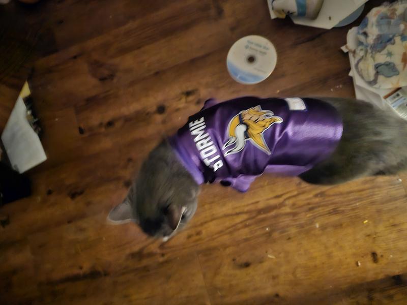 Cat store vikings jersey