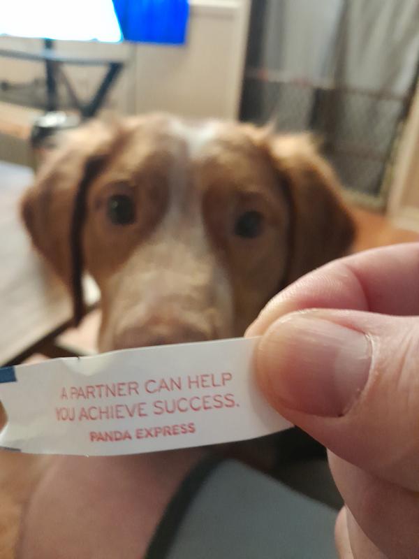 The partner in crime
