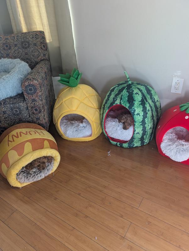 Our dogs love these beds!