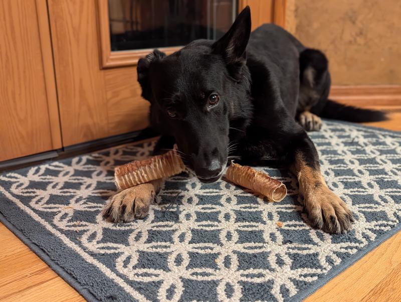 These are two halves of the same chew!