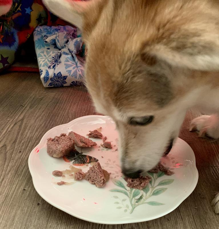 Penny cleaned her plate!