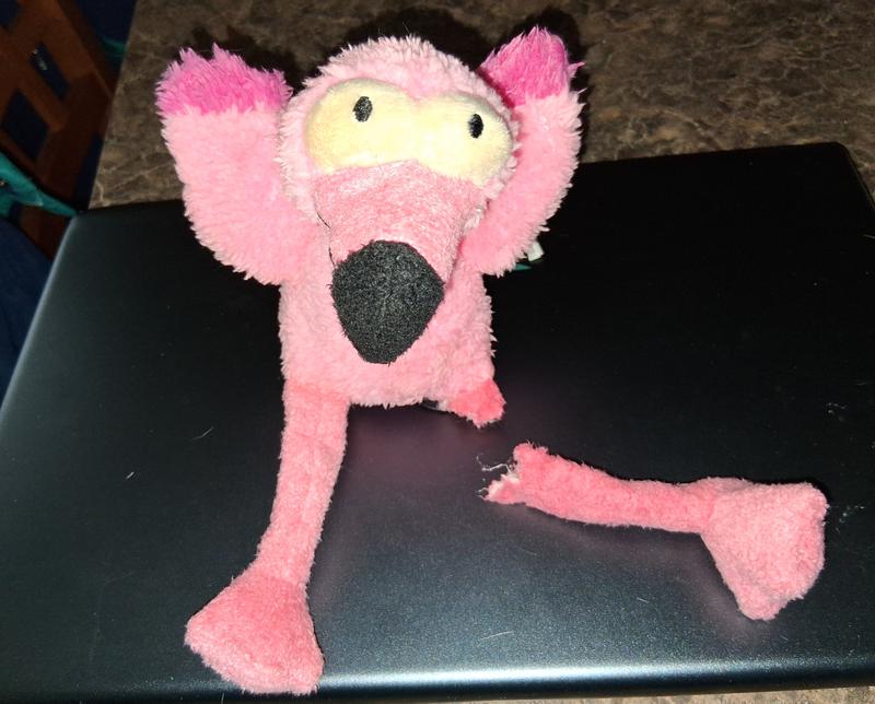 Lasted only 4 minutes.