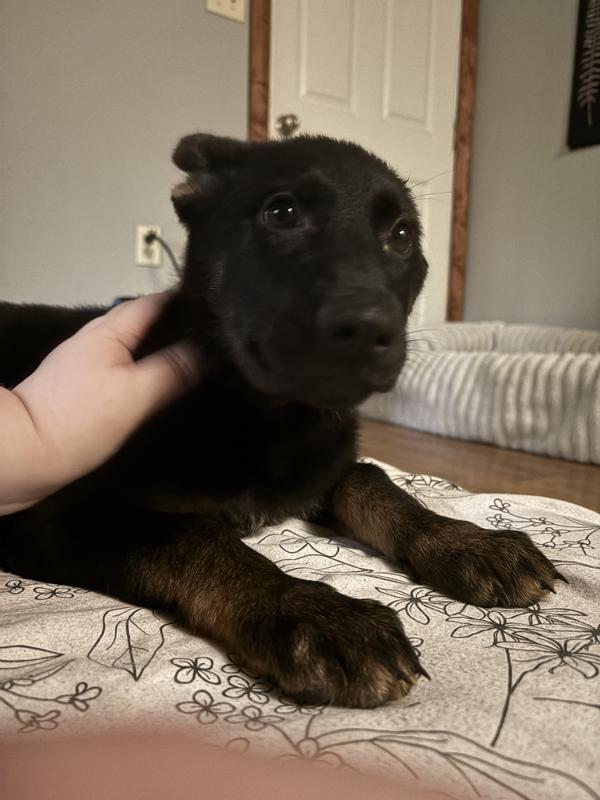 Convenient, easy to use, fun