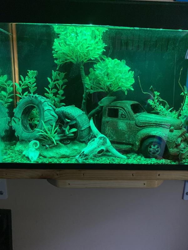 I think it’s looks Great