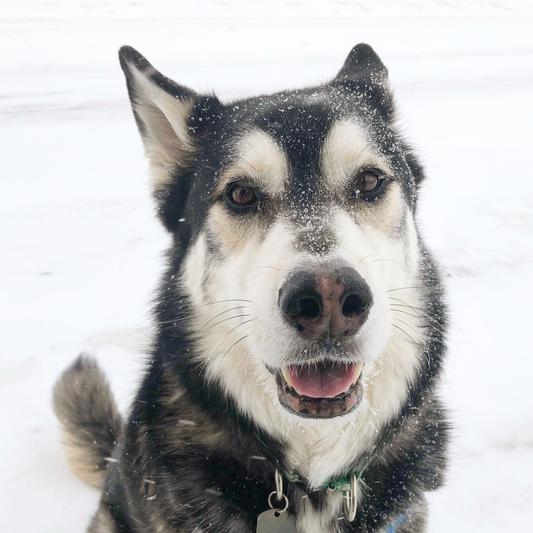 Winter starts from October to April so this product does the trick!