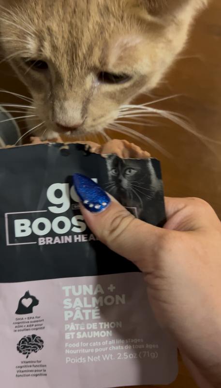 Couldn't even wait for me to put it in his bowl