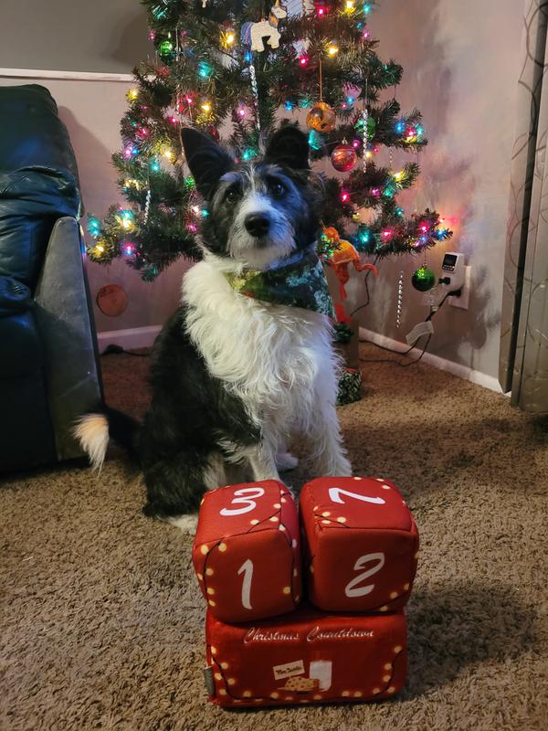 Counting down the days till Christmas!