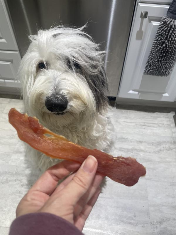 Dog and Jerky