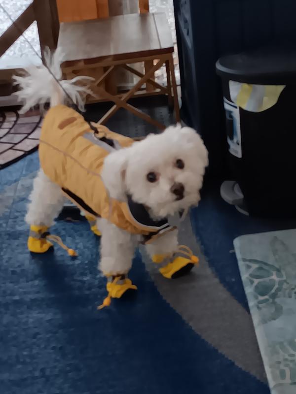 Winter stroll ready.