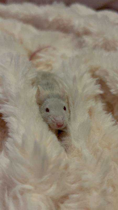 A picture of my boy!