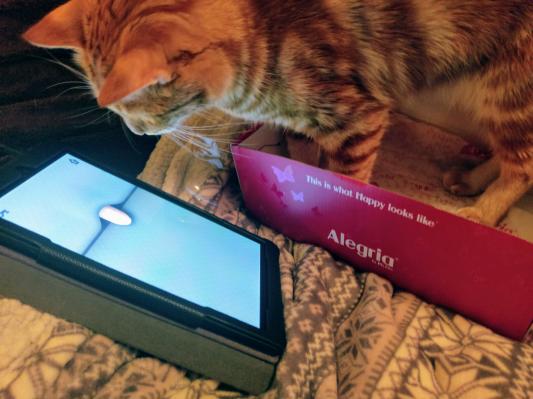 Jack playing on 'his' tablet