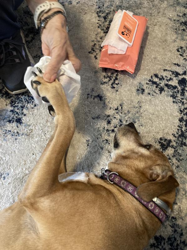 Wags & Wiggles Dog Nail Clippers