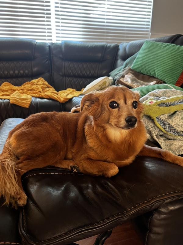 Picture of Sasha for tax