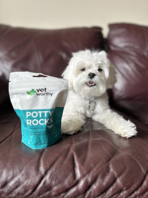 VET WORTHY Dog Potty Rocks 200 gm Chewy