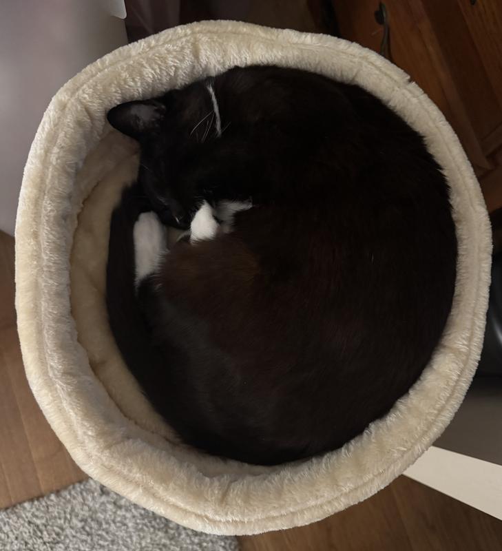 Lots of extra space.