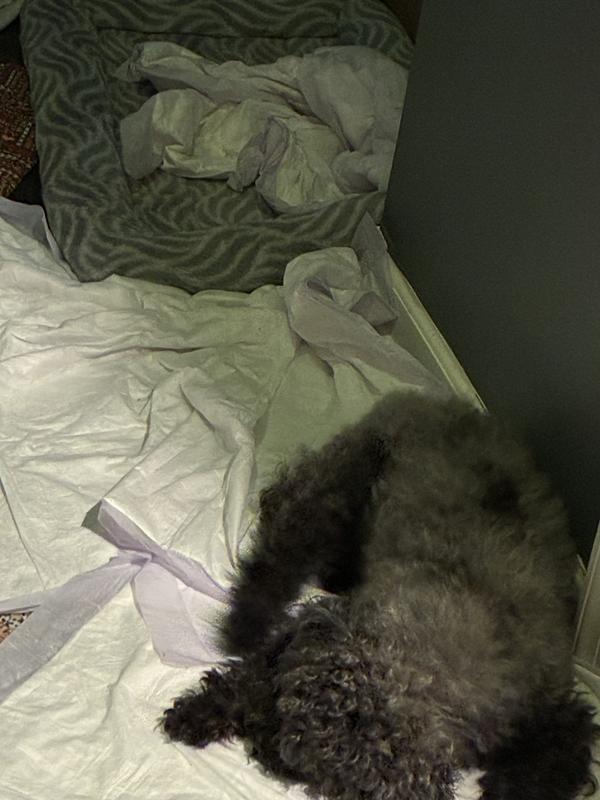 The sweet smell of lavender scented potty pads