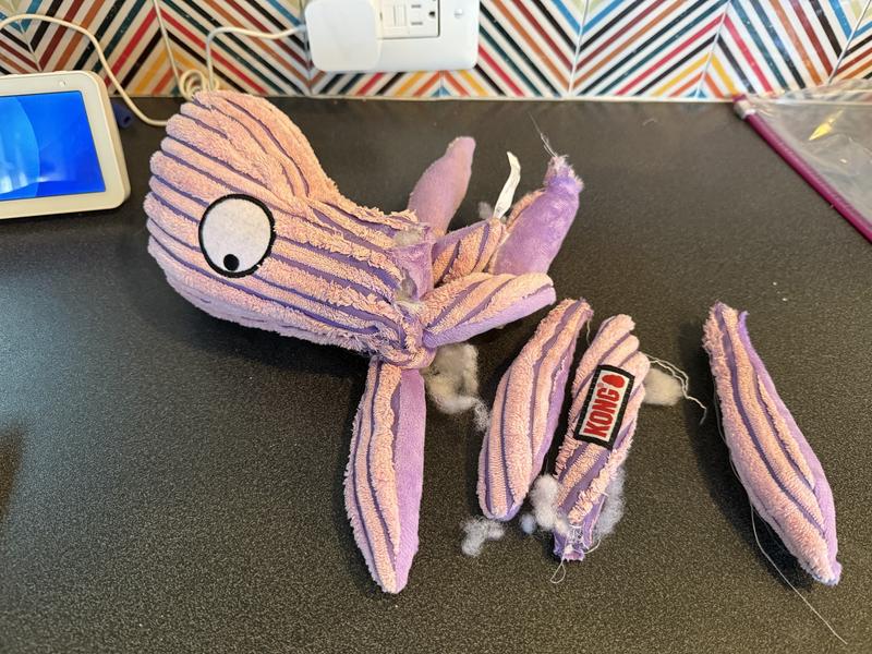 sad octopus