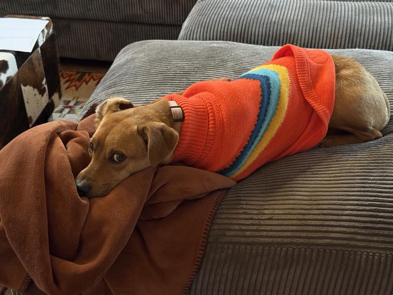 Annie loves this sweater.
