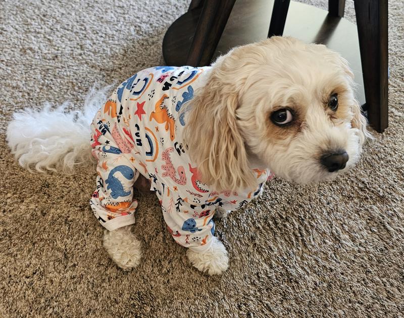 Dog jammies