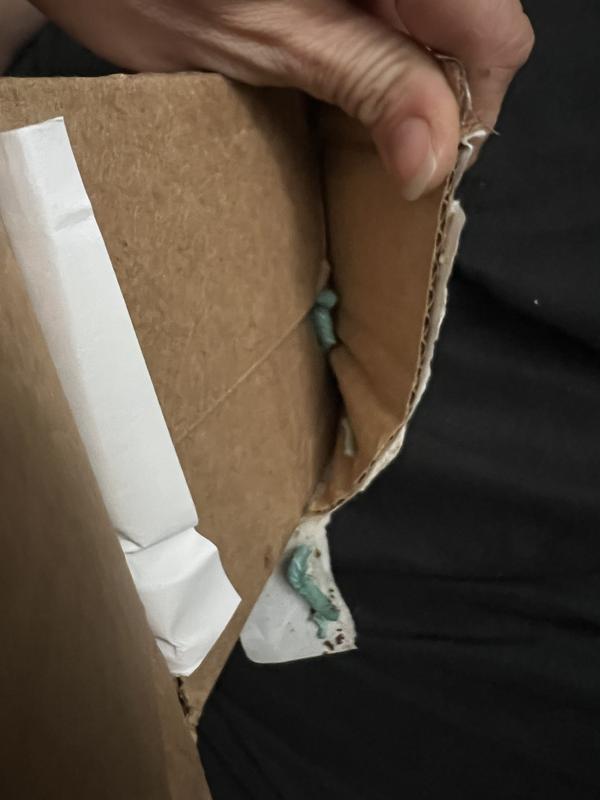 Loose horned worms crawling out