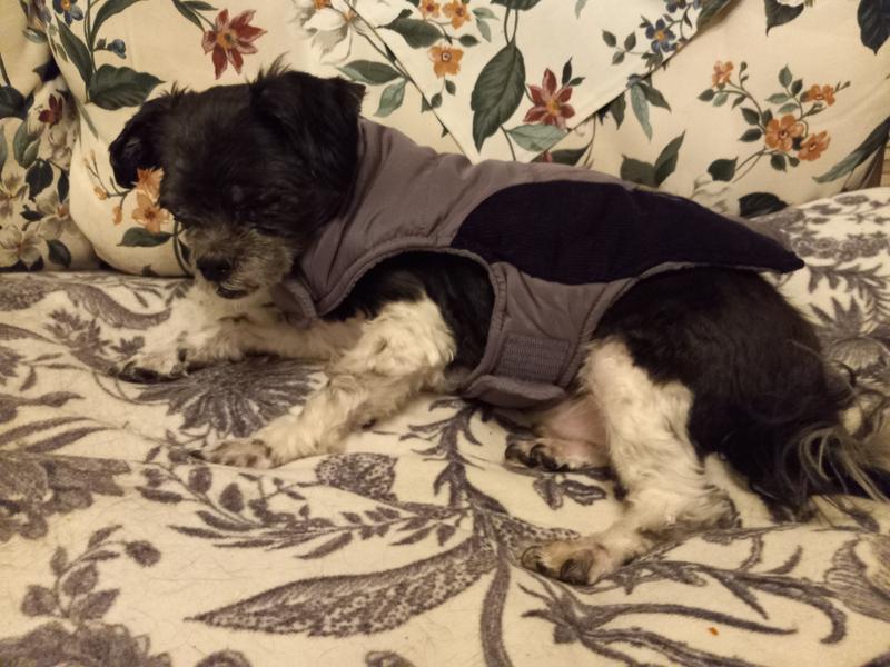 Cozy and comfortable