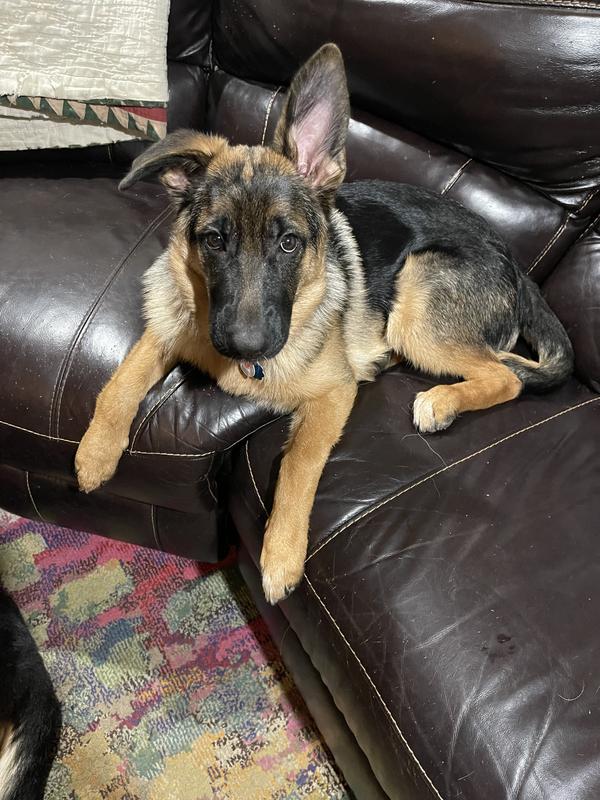 I’m a good girl! ☺️