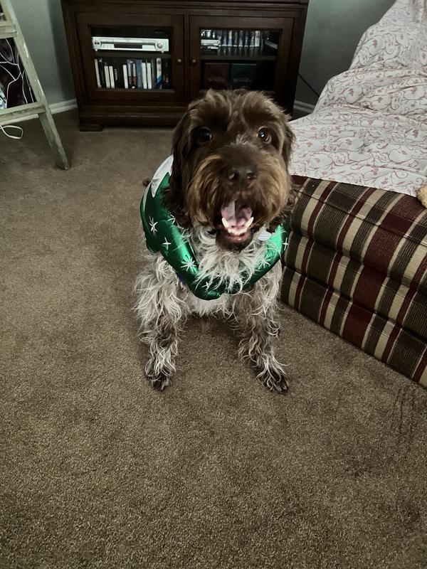 Sweet Little Christmas Ball!