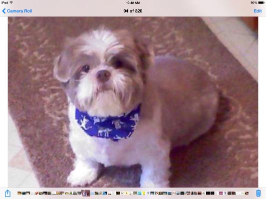 My Baby - Skitz