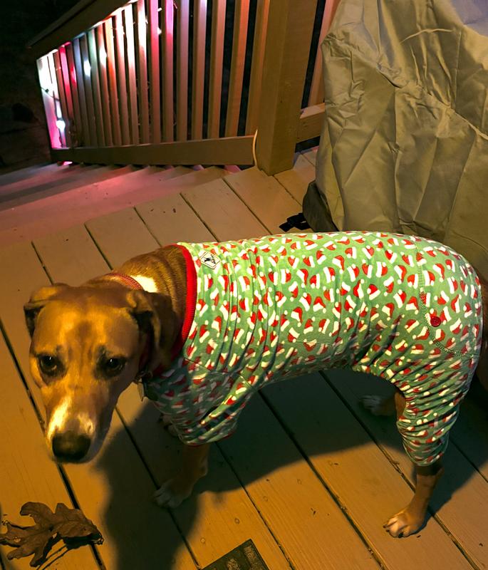 Christmas jammies