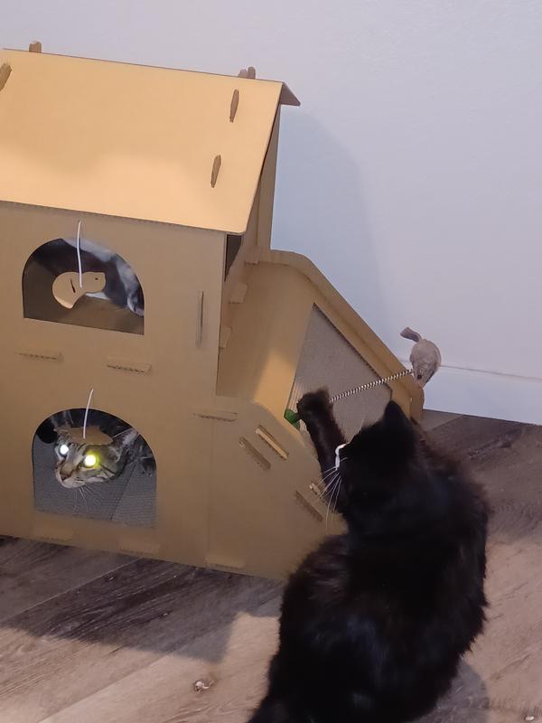 Something for all 3.