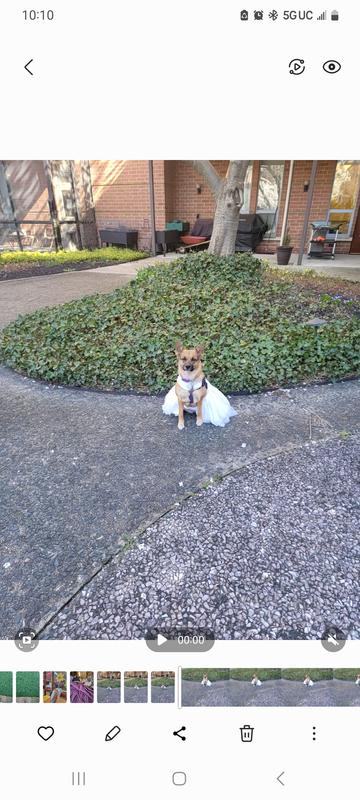 I will model for you