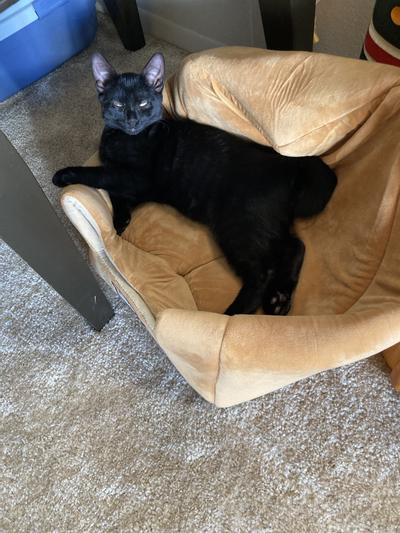 Resting on top of house !