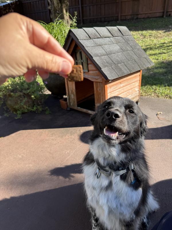 Chewy grabbed it so fast and wanted more than one. For his weight it is recommended two chews, so I gave him another one.