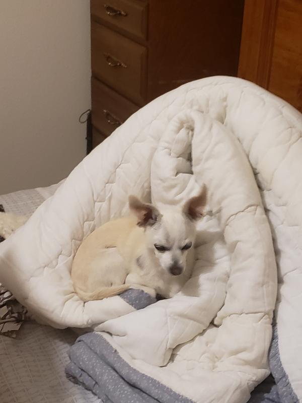 "They work, because they do it right, everytime!"