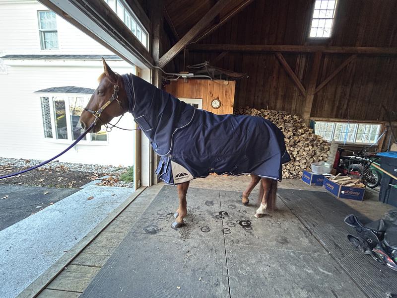 Love that the back of the blanket doesn’t hang over too far.