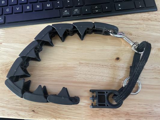 Plastic prong clearance dog collar