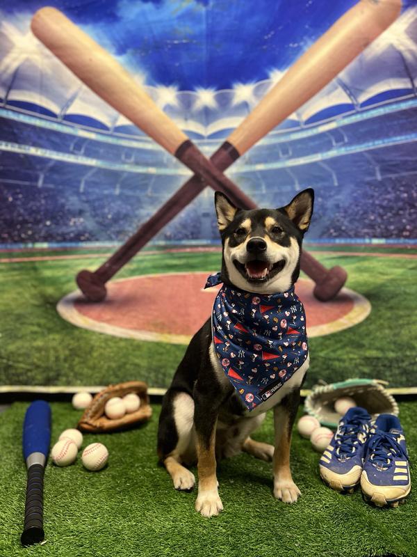 Happy Opening Day, God Yankees!!!
