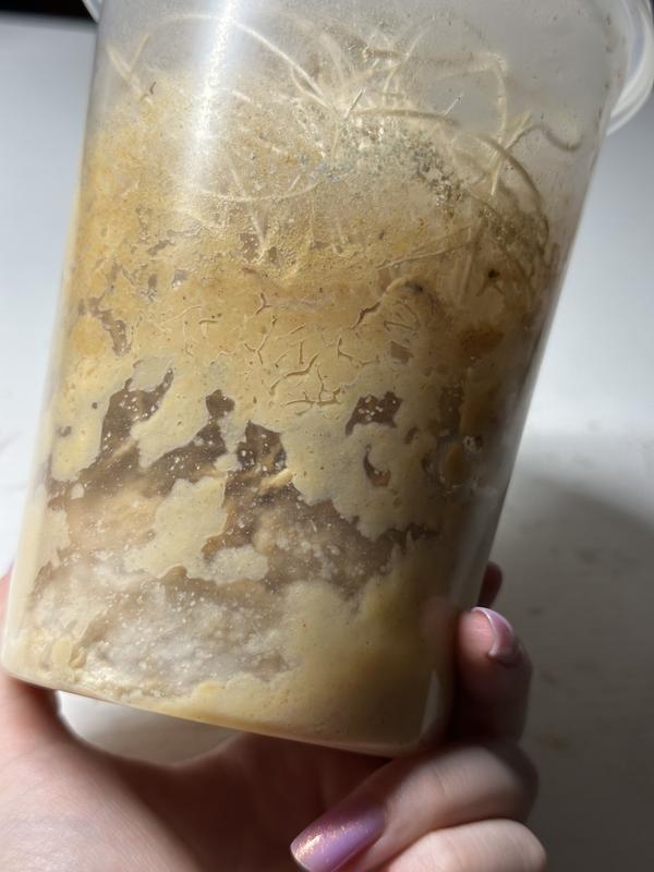 Mold throughout food and no flies alive. Way too much food.