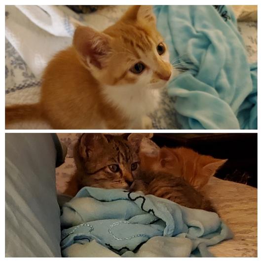 watching TV for the first time