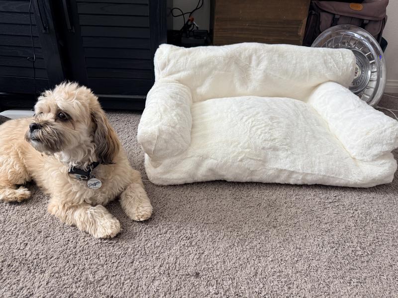 Here’s my 13 lb shihpoo next to it waiting patiently for it to fill up more.